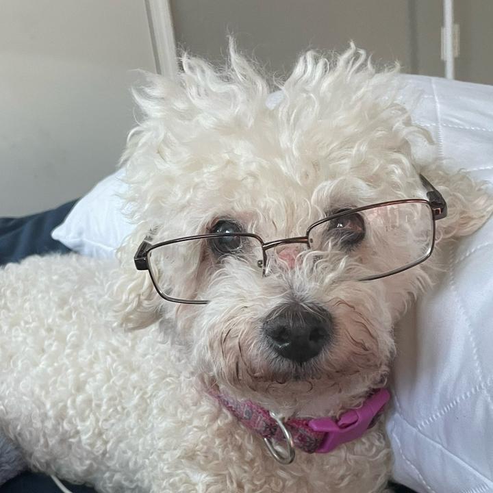 Profile Picture of   Hopefully this will be the... (@melissathekind) on Tiktok