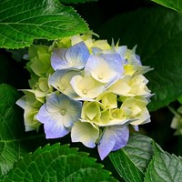 Profile Picture of Ava Arnold (@ava-arnold-2) on Quora