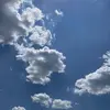 Profile Picture of Kellie.Blevins (@marieviftfk) on Tiktok