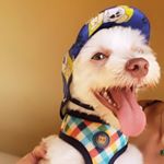 Nicolas Charles - Instagram Profile Picture of Nicolas Charles (@nicolas_charles19) on Instagram