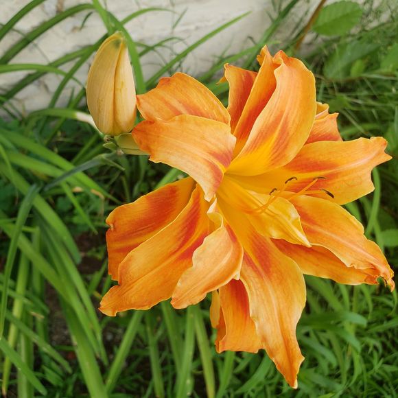 Profile Picture of Sad Panda (@sadpanda0420) on Poshmark