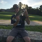 Profile Picture of David (@cornforthdavid99) on Instagram