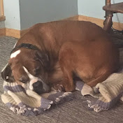 Profile Picture of Frank Lomuscio (@Lomuscio313) on Youtube