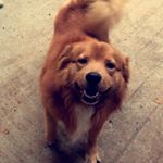 Profile Picture of Chester Eugene Porterfield (@chestercheddarcheese) on Instagram