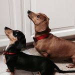 Profile Picture of Elizabeth Stubblefield (@eliz.stubblefield) on Instagram