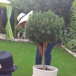 Profile Picture of Nuria Alvarez (@nuria_alvarez_) on Instagram