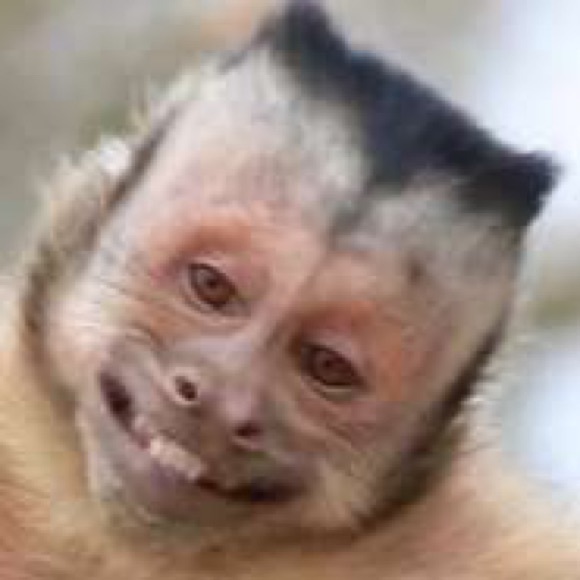 Profile Picture of Arturo Margarito (@herp10) on Poshmark