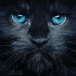 Profile Picture of Jamie Lenker (@jamie_lenker) on Instagram