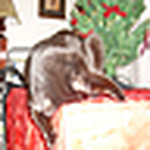 Profile Picture of Lisa Hudson (@lisalhudson) on Flickr