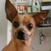 Profile Picture of Grisell Acosta (@grisellacosta) on Pinterest