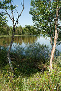 Profile Picture of Kitkajärvi - Wikipediaon Wikipedia