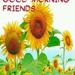 Profile Picture of kenisha evans (@kenisha_evans) on Instagram