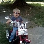 Paula Salisbury - Instagram Profile Picture of Paula Salisbury (@pmsalisbury) on Instagram