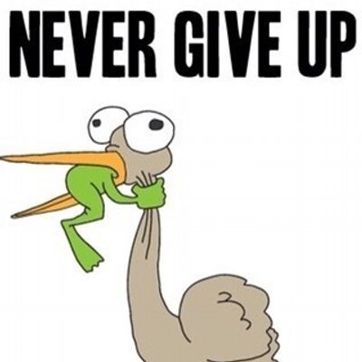 Profile Picture of Craig Fogarty (@hairyswollocks) on Twitter