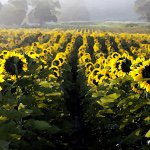 Profile Picture of Carson McElheney (@carsonmcelheney) on Instagram