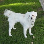 Profile Picture of Shawn Witt (@shawn.witt) on Instagram