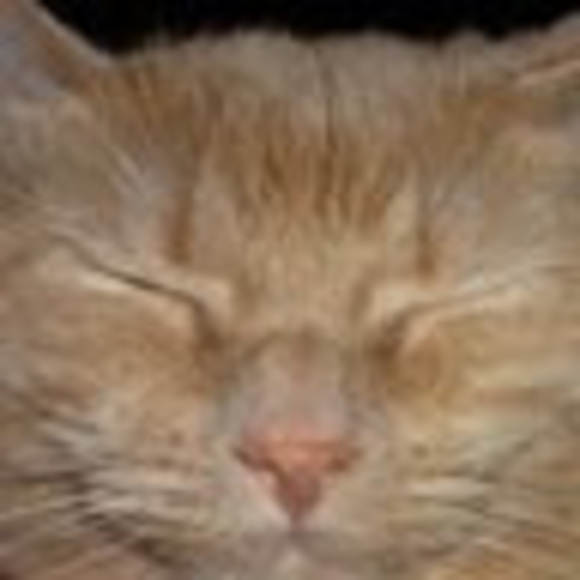 Naomi Deville - Poshmark Profile Picture of Naomi Deville (@37pinkbathrobe) on Poshmark