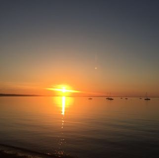 Profile Picture of Patricia Sharkey (@Patricia-Sharkey) on Facebook