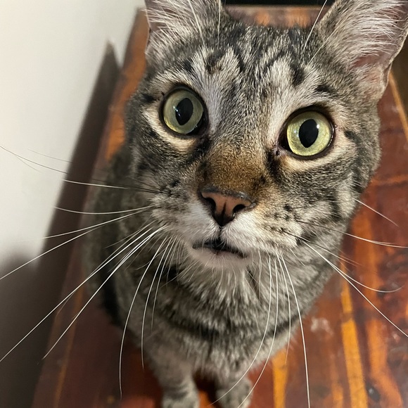 Kimberly Kirila - Poshmark Profile Picture of Kimberly Kirila (@kimberly_kirila) on Poshmark