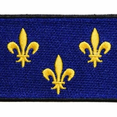 Profile Picture of Jean De France ✞  ⚔️ 🇫🇷 🇫🇷 🇫🇷 (@JLuc_golf) on Twitter
