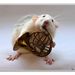 Profile Picture of isabelle torfs (@isabelletorfs) on Pinterest