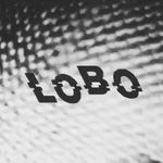 Profile Photo of Lobo (@lobosound) on Instagram