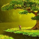 Profile Picture of Sonia Astorga (@ticacr00) on Instagram