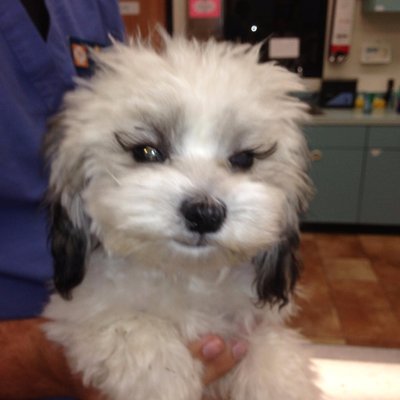 Profile Picture of Jem's (@Jemsnatural) on Twitter