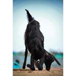 Profile Picture of Roshan Joshi Photography (@roshanjoshi_photography) on Instagram