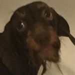 Profile Picture of Nathan Lewandowski (@nathan.lewandowski) on Instagram