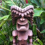 Profile Picture of David Boleas (@boleas) on Instagram