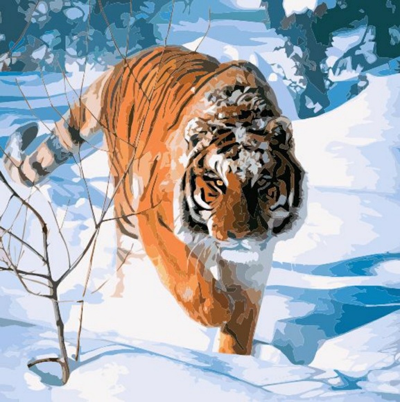 Profile Picture of Brian Bock (@bbock70) on Poshmark