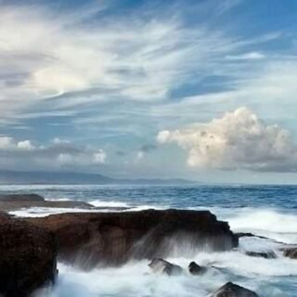 Profile Picture of Joyce Murphy (@joycemurphy882) on Poshmark