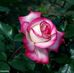 Profile Picture of Albina Ramirez (@albina.ramirez.90410) on Facebook