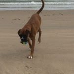 Profile Picture of Neil McCulloch (@neil.mcculloch.712) on Instagram