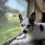 Profile Picture of Pete Thompson (@thompson.pete) on Flickr