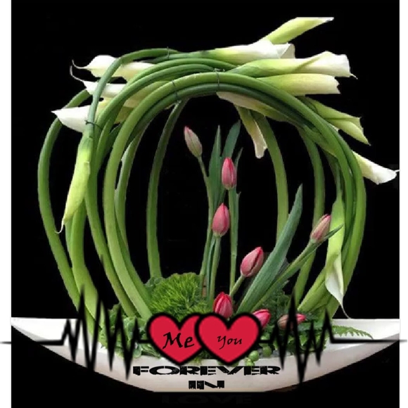 Profile Picture of Iris Larios (@larioss503) on Poshmark