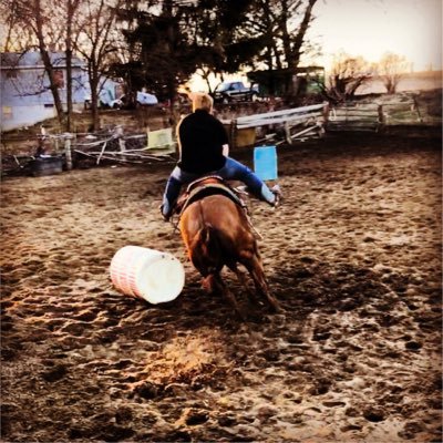 Profile Picture of Dylan Clement (@dylanclement15) on Twitter