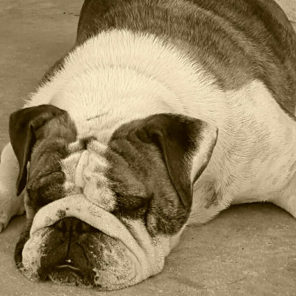 Tabitha Richardson - Poshmark Profile Picture of Tabitha Richardson (@tabithar4) on Poshmark