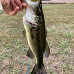 Profile Picture of Jesse Johnson (@jessejohnson761) on Instagram