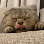 Profile Picture of Nelson Theo Emmitt (@steinkamp_residence) on Instagram