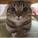 Profile Picture of Sassman Matthew (@sassman.matthew) on Facebook