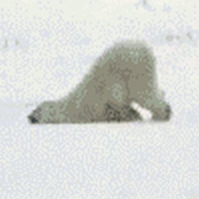 Profile Picture of Patrick Shoemaker (@ShoemakerPatri) on Twitter