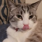 Profile Picture of Melissa Pelkey (@melissa.pelkey.73) on Facebook