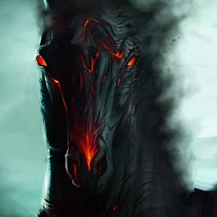 Profile Picture of Buddy (@buddylucas13) on Tiktok