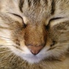 Profile Picture of Jay Tsai (@@2163875147) on Tiktok
