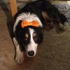 Profile Picture of Kim Schreiber (@@chocokeks2009) on Tiktok