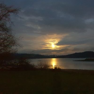 Profile Picture of Michael Ince-Tivey (@InceTivey) on Twitter