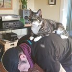 Profile Picture of steven grandy (@stevengrandy) on Instagram