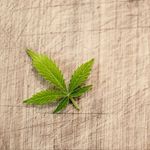 Profile Picture of Alyson Ramsey (@alyson.ramsey) on Instagram